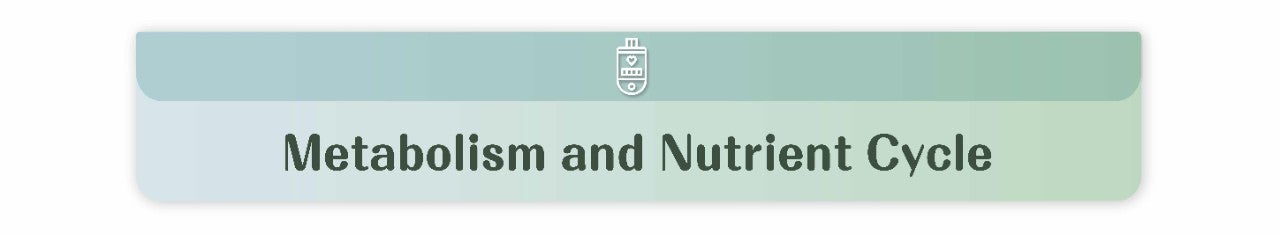 代謝健康學堂 Landing Page_EN