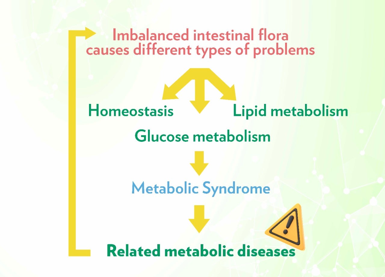 代謝健康學堂 Landing Page_EN
