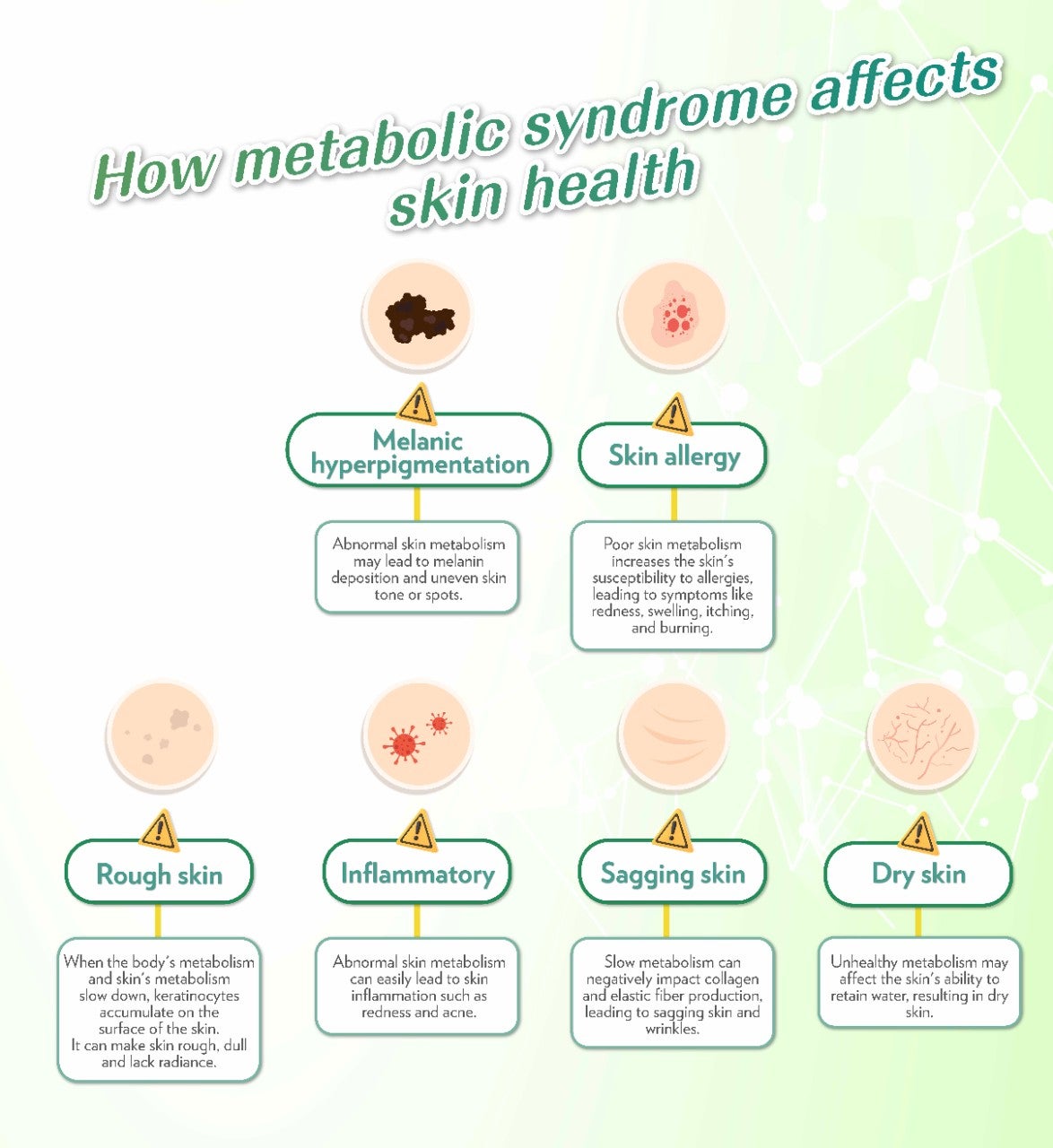 代謝健康學堂 Landing Page_B_EN